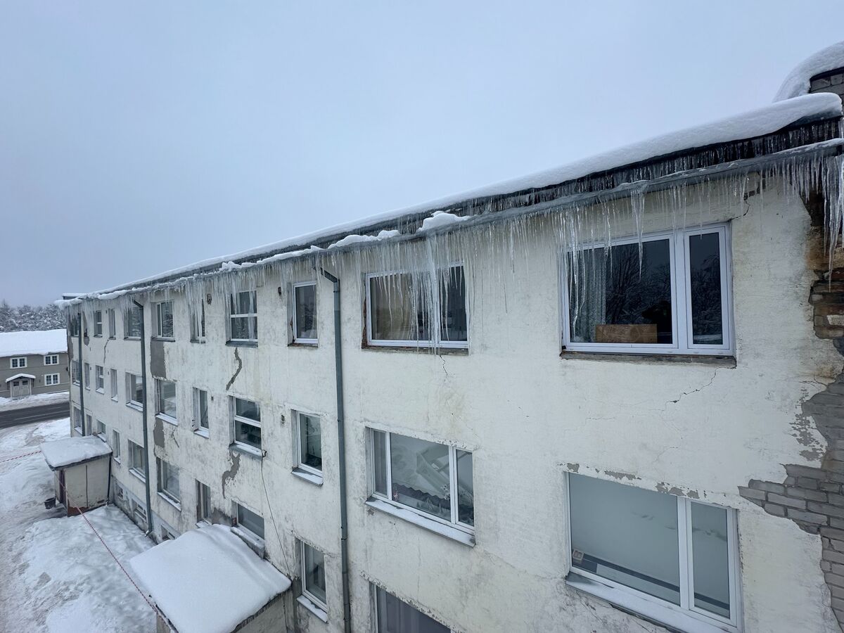 Stemet OÜ tehtud haljastustöö 10